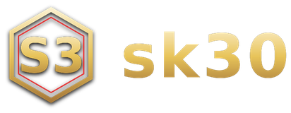 sk30 logo